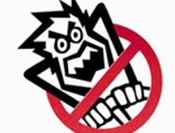 Yolcu Otobüsü TIR'la Çarpıştı: 1 Ölü, 15 Yaralı