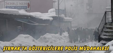 Şırnak'ta göstericilere polis müdahalesi
