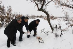 Bingöl’de hayvanlar için doğaya yiyecek bırakıldı
