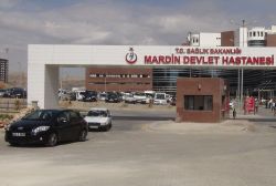 Ağır yaralanan anne de hayatını kaybetti