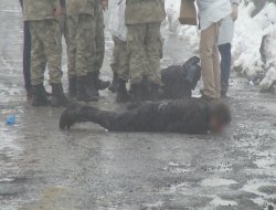 Çınar’da bulunan cesetler Diyarbakır’a gönderildi