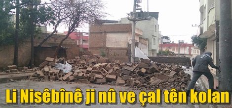 Li Nisêbînê ji nû ve çal tên kolan