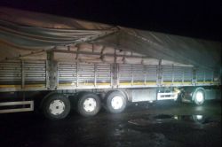 Saman ve yün çuvallarının altında kaçak sigara ele geçirildi