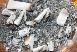 Mardin’de sigara denetimleri sürüyor