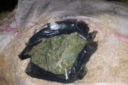 Batman’da 7 kilo esrar ele geçirildi