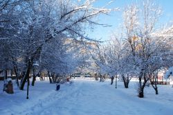 Kar nedeniyle bin 500 köy ve mahalle yolu kapandı