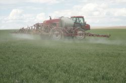 Ceylanpınar’da ‘kendi yürür ilaçlama makinesi’ kursu verildi