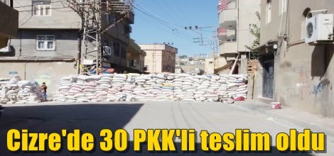 Cizre'de 30 PKK'li teslim oldu