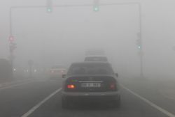 Mardin'de yoğun sis