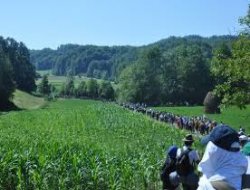 Meşa Di Riya Mirinê De