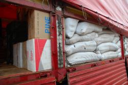 Gaziantep'te TIR'da 260 bin paket kaçak sigara ele geçirildi video