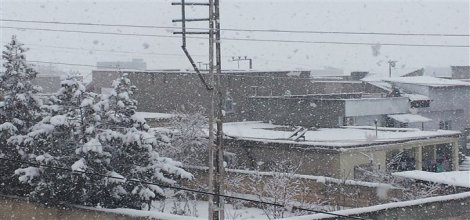 Ağrı'da okullar tatil edildi