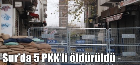 Sur’da 5 PKK’li öldürüldü