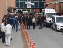 Cûya bê barîyer can sitand