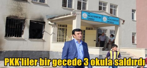 PKK'liler bir gecede 3 okula saldırdı