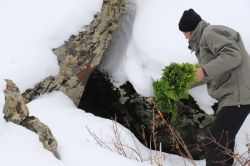 Ağrı'da yaban hayvanlarına yem bırakıldı