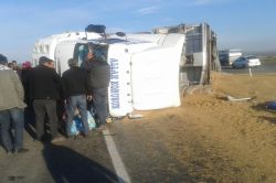 Buğday yüklü TIR devrildi: 1 yaralı