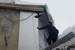 Ayağı saçağa sıkışan kargayı belediye ekipleri kurtardı