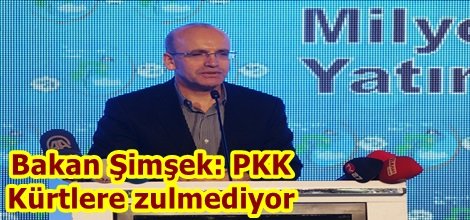 Bakan Şimşek: PKK Kürtlere zulmediyor