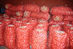 Patates en düşük fiyatı görürken soğan tavan yaptı