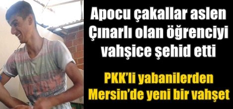 PKK’li yabanilerden Mersin’de yeni bir vahşet