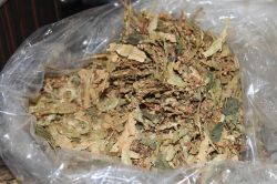 Ihlamurun fiyatı el yakıyor