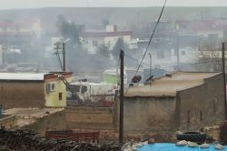 Nusaybin'de 97 kişi gözaltına alındı