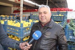 Üreticiler limon fiyatlarından memnun