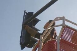 Ayağı sıkışan kuş itfaiyeyi alarma geçirdi