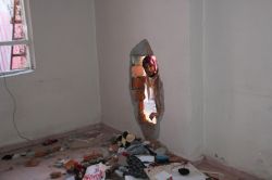 Yasağın kalkmasıyla tahribatın boyutu ortaya çıktı