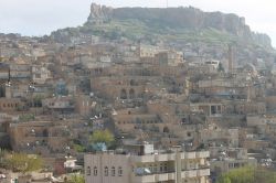 STK’lar Başbakan’dan beklentileri açıkladı