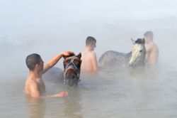 Atlarıyla birlikte kaplıca keyfi yaşıyorlar