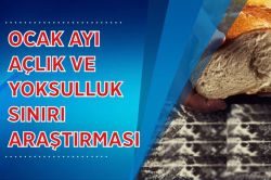 Ocak ayı yoksulluk sınırı 4 bin 128 lira oldu