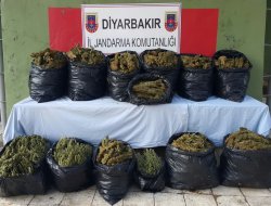 Diyarbakır’ın Çınar ilçesinde 135 kilo esrar ele geçirildi video-foto
