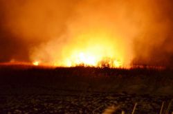 Göksu Deltası sabah saatlerine kadar yandı