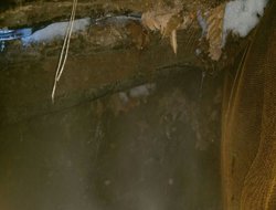 3 penageha PKKyiyan hatin îmhakirin