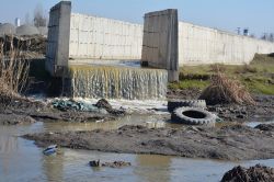 Batman Çayı’na kanalizasyon suyu akıtılmasına tepki