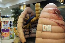 Mardin’de ‘Koca akciğer maketi’ sergilendi