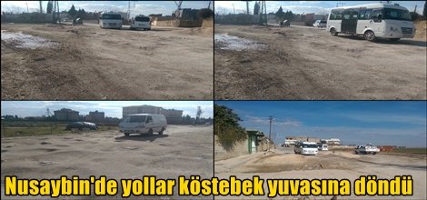 Nusaybin'de yollar köstebek yuvasına döndü