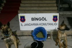 Bingöl'de uyuşturucu operasyonu