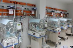 Bursa’da beşizler dünyaya geldi