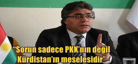 “Sorun sadece PKK’nın değil Kürdistan’ın meselesidir”
