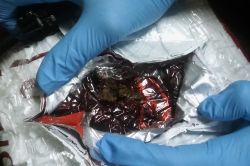 Ağrı'da uyuşturucu ele geçirildi