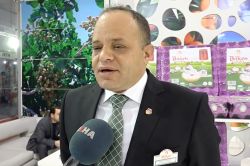 Yumurta sektörü olumsuzluklara rağmen büyüyor