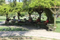 Adana’da termometreler 33 dereceyi gösterdi video