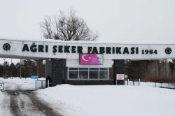 Ağrı Şeker Fabrikasının yeniden açılması için çalışmalar yapılıyor video