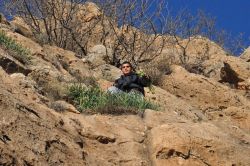 Batman’ın Hasankeyf ilçesinde ölüm tehlikesine aldırmadan nergis topluyorlar video