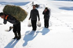 Ağrı Dağı’na yaban keçileri için yiyecek bırakıldı foto