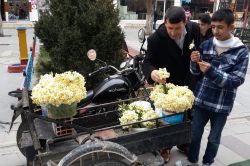 Halktan nergis çiçeklerine rağbet