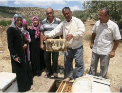 Arılar da "Allah" Dedi